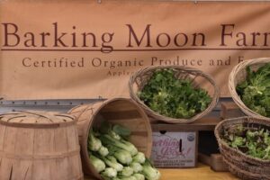 Baskets of vegetables are scattered across a table in front of a banner that reads "Barking Moon Farm, certified organic produce."