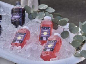 There is a bucket of ice with vines around the edge; four bottles of juice are on the ice. Three of the bottles are light red, and the last is dark purple.
