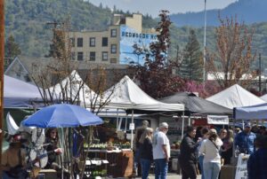There is a busy street full of market vendors with tents; in the background, there is a glimpse of downtown with the most significant building with a large mural painted on the side. The wall reads "Redwood Hotel."