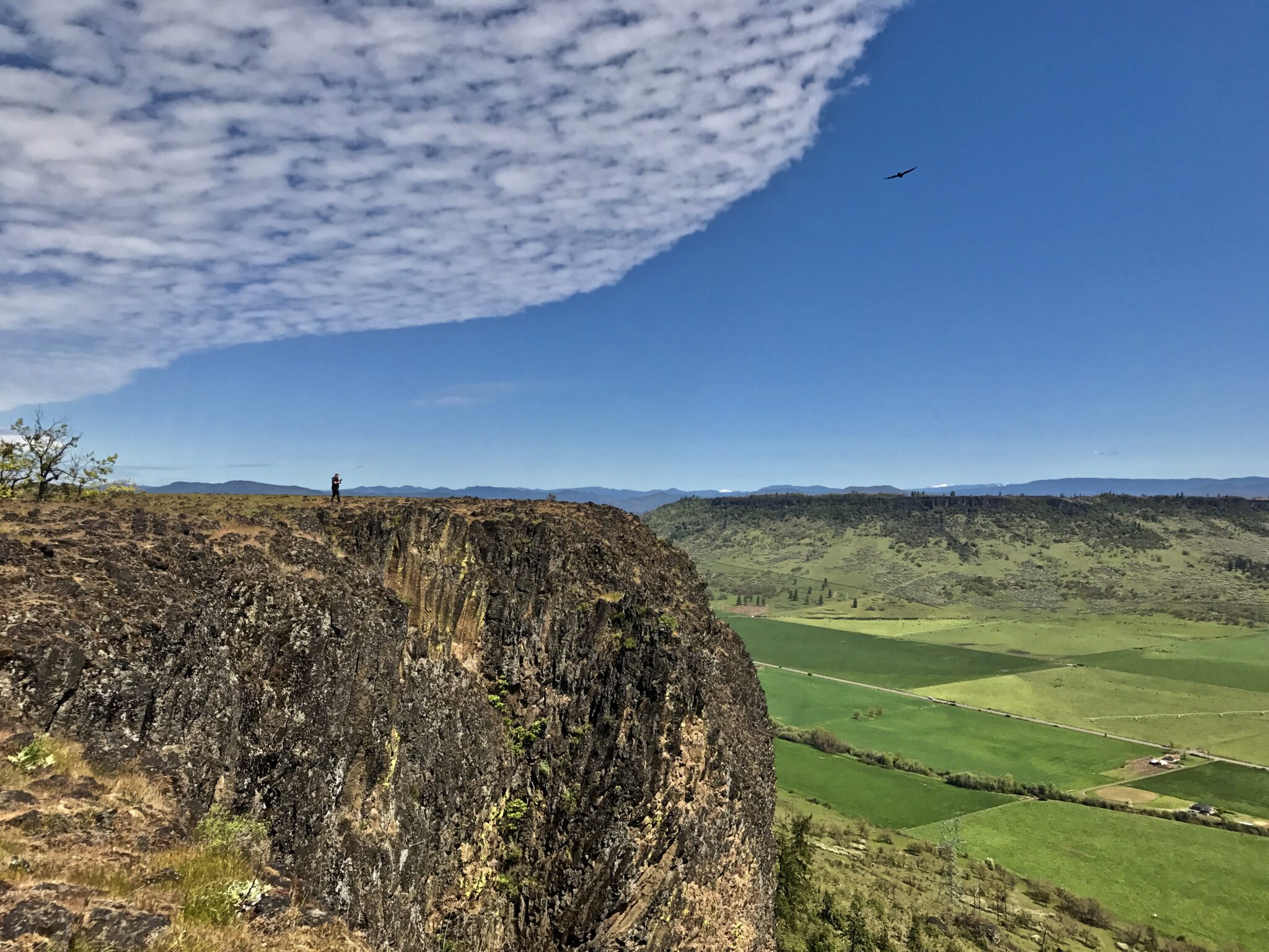 The edge of The Lower Table Rock is seen in the distance at the bottom left; a person is hiking out to the edge; over the corner of the rock, there are vast green fields divided geometrically into different shades. The clouds mirror the shape of Lower Table Rock, creating a unique pattern with a sharp edge meeting the clear blue sky.
