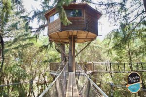 View down a rope bridge leading to a treehouse with a spiral staircase up to the top. Out N About Treehouses is one of the best activities for kids and families in the Rogue Valley.