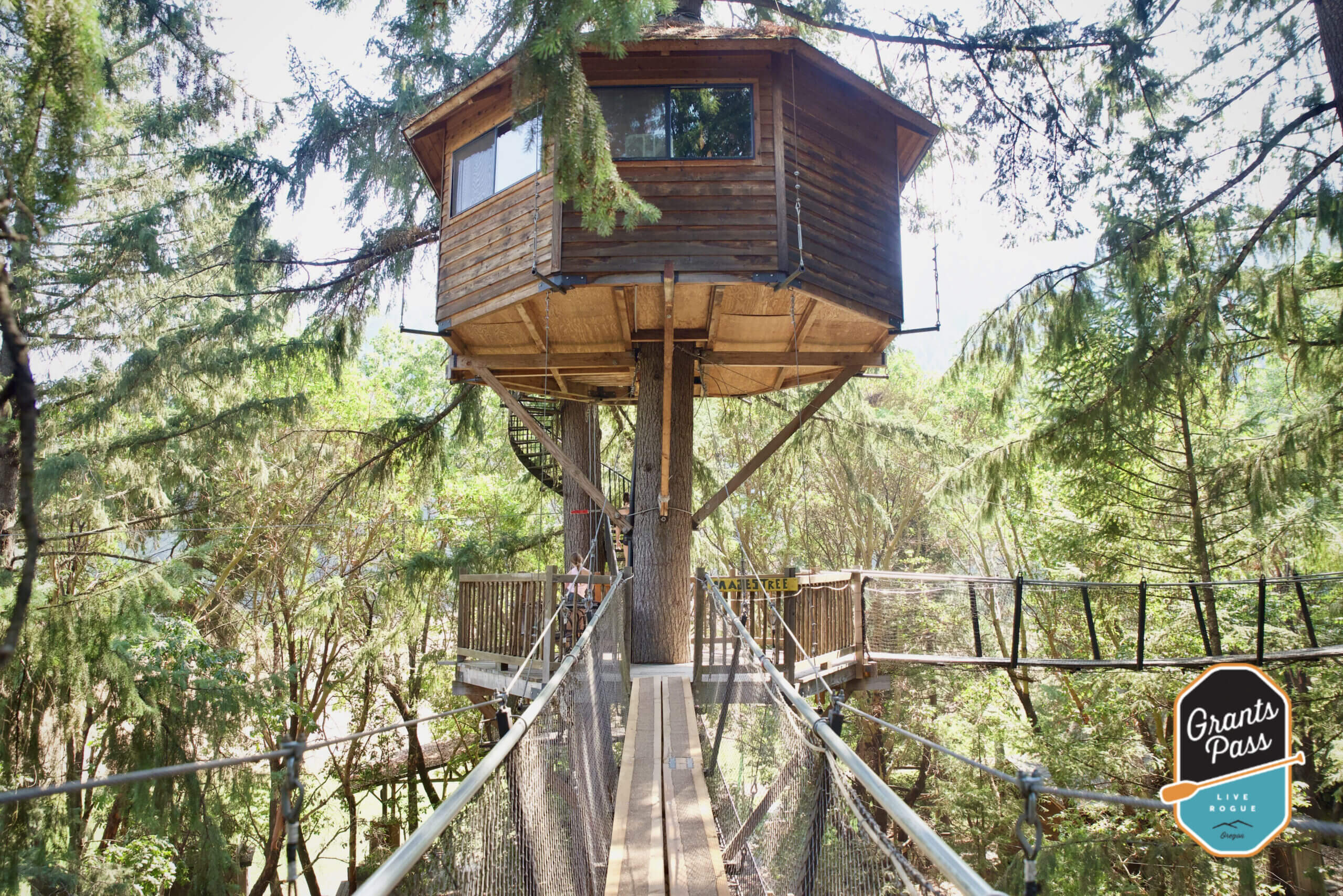 View down a rope bridge leading to a treehouse with a spiral staircase up to the top. Out N About Treehouses is one of the best activities for kids and families in the Rogue Valley.