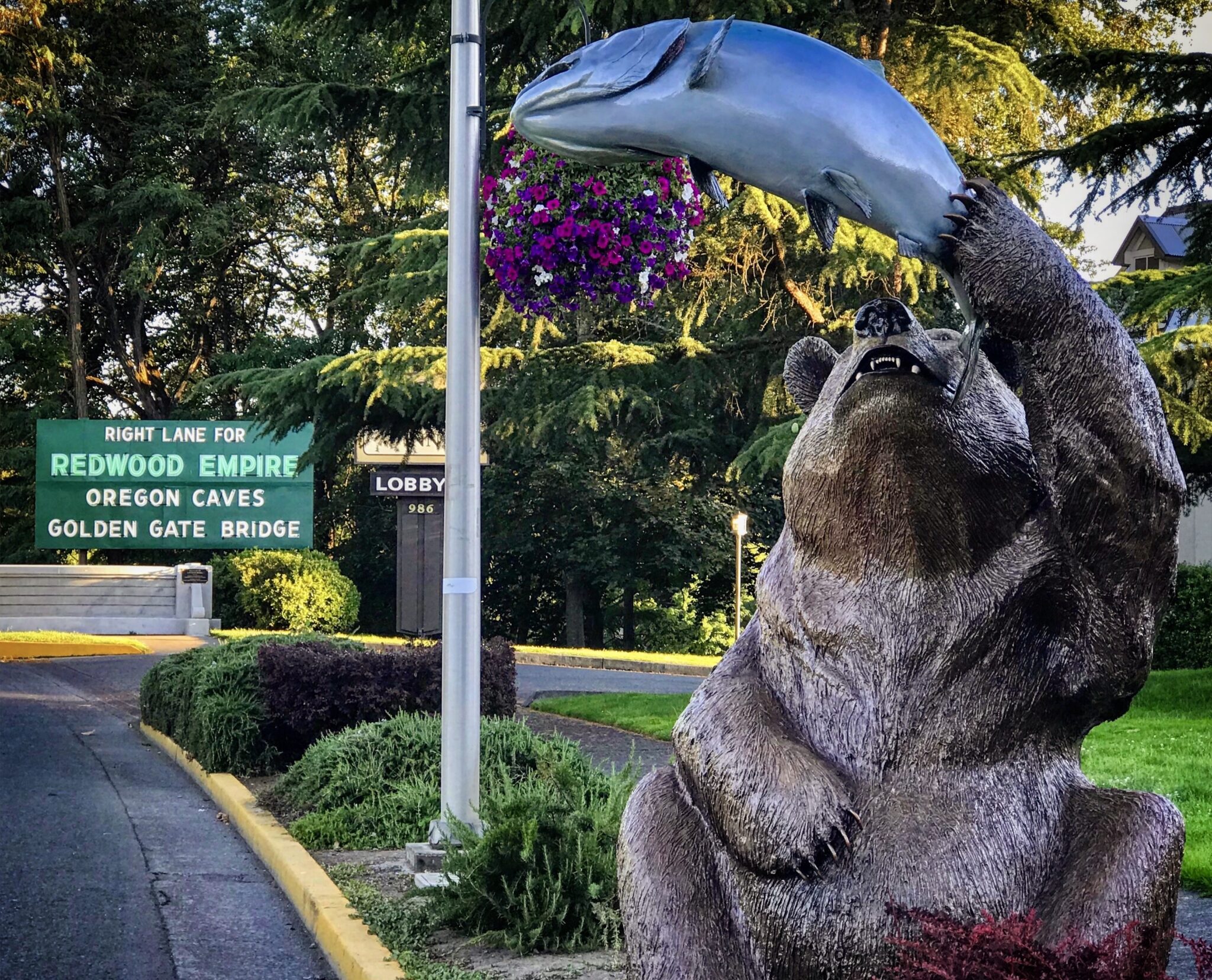 In front of the Redwood Empire exit sign, there is a large bear statue with a fish leaping overhead, featured by Everygreen Bank during BearFest