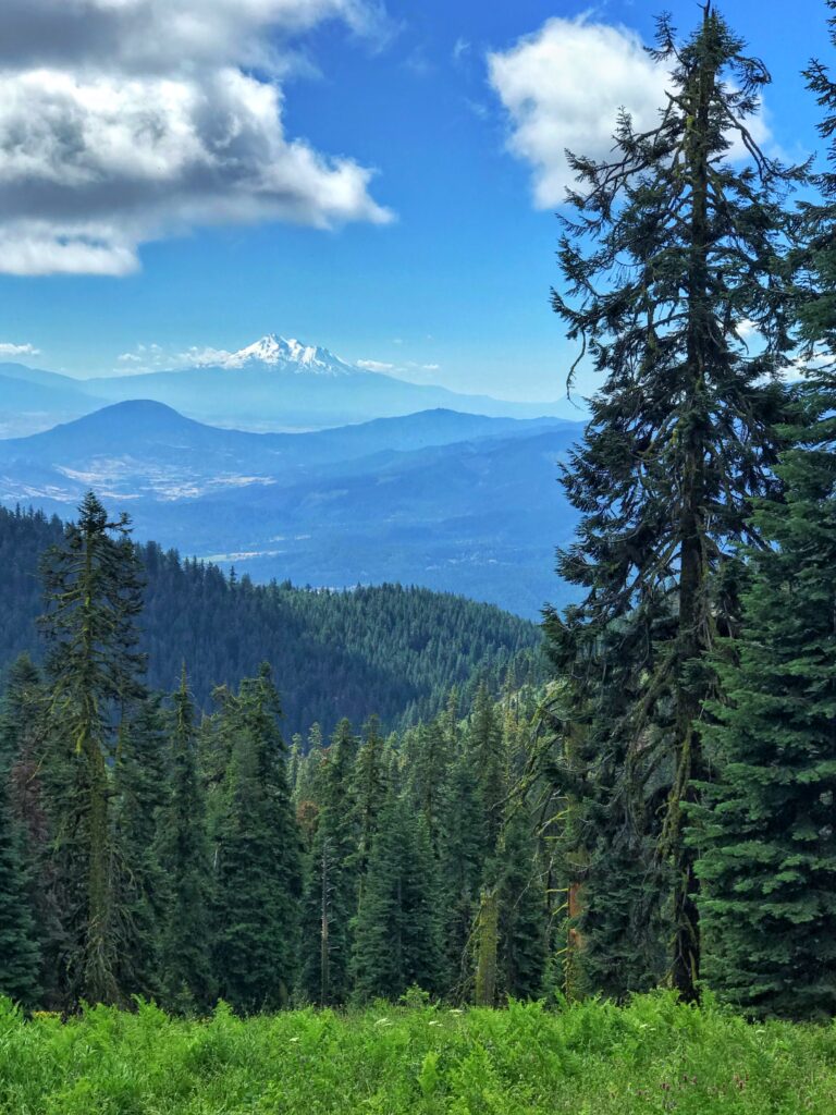 View over a tree line looking towards Mount Ashland, looking straight through the valley with rows of green hills that fade into blue against the sky.