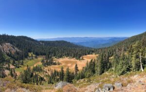 Looking across the Rogue Valley from Mount Elijah, rows of pine trees covering the surfaces of every hill as they fade away into the blue sky.