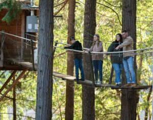 A group of people enjoying their time on a treehouse rope bridge in Southern Oregon. The treehouse is nestled amidst tall trees, and the bridge sways gently as they walk on it.
