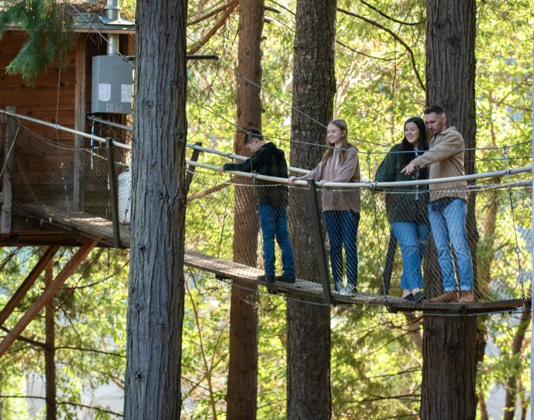 A group of people enjoying their time on a treehouse rope bridge in Southern Oregon. The treehouse is nestled amidst tall trees, and the bridge sways gently as they walk on it.