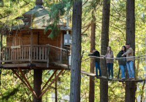 A group of people enjoying their time on a treehouse rope bridge in Southern Oregon. The treehouse is nestled amidst tall trees, and the bridge sways gently as they walk on it.