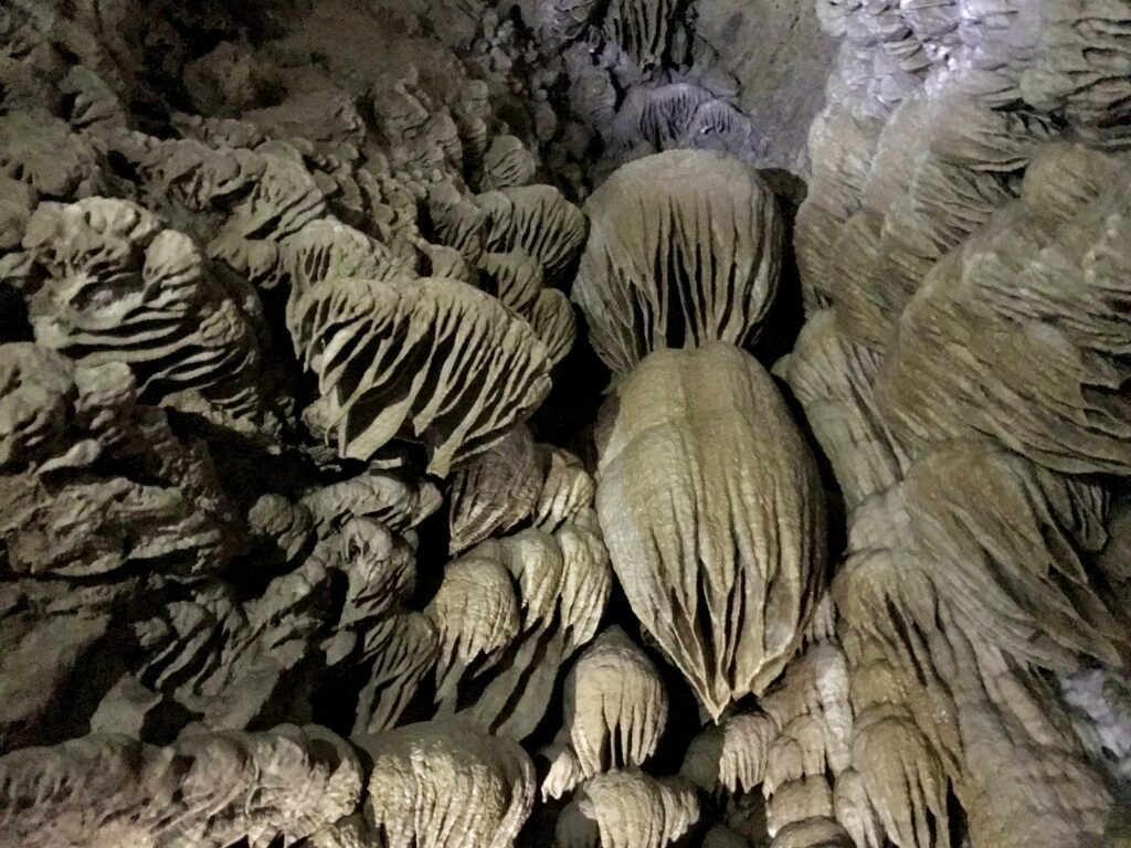 Rock formations on the ceiling of the Oregon Caves, forming cone-like shapes that are hollowed out.
