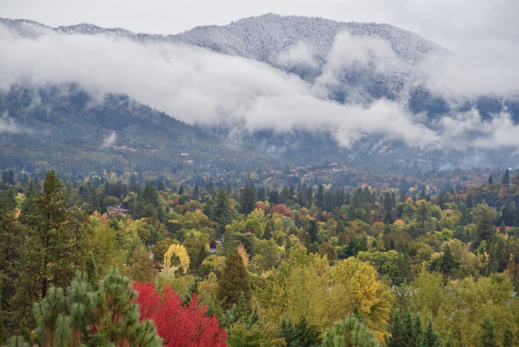 View over Grants Pass on a cloudy fall day, across a large range of trees, low clouds hover just above the tree line, and the hills behind peak over covered in snow at the top.