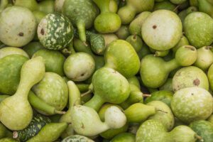 An assortment of lime green squashes.