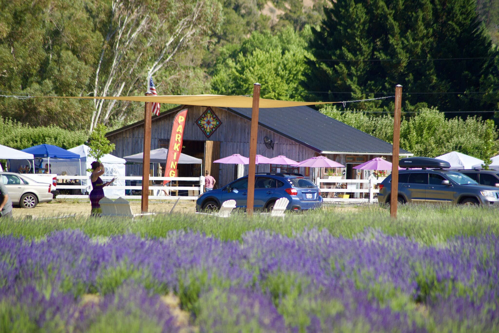 Rogue Valley Farm Tour and Must-Visit Farmstands - VisitGrantsPass