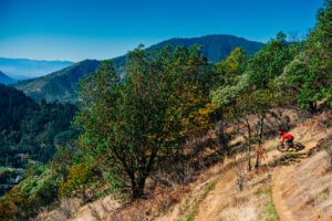 Mountain biker coming around a wide turn going down a bendy path.
