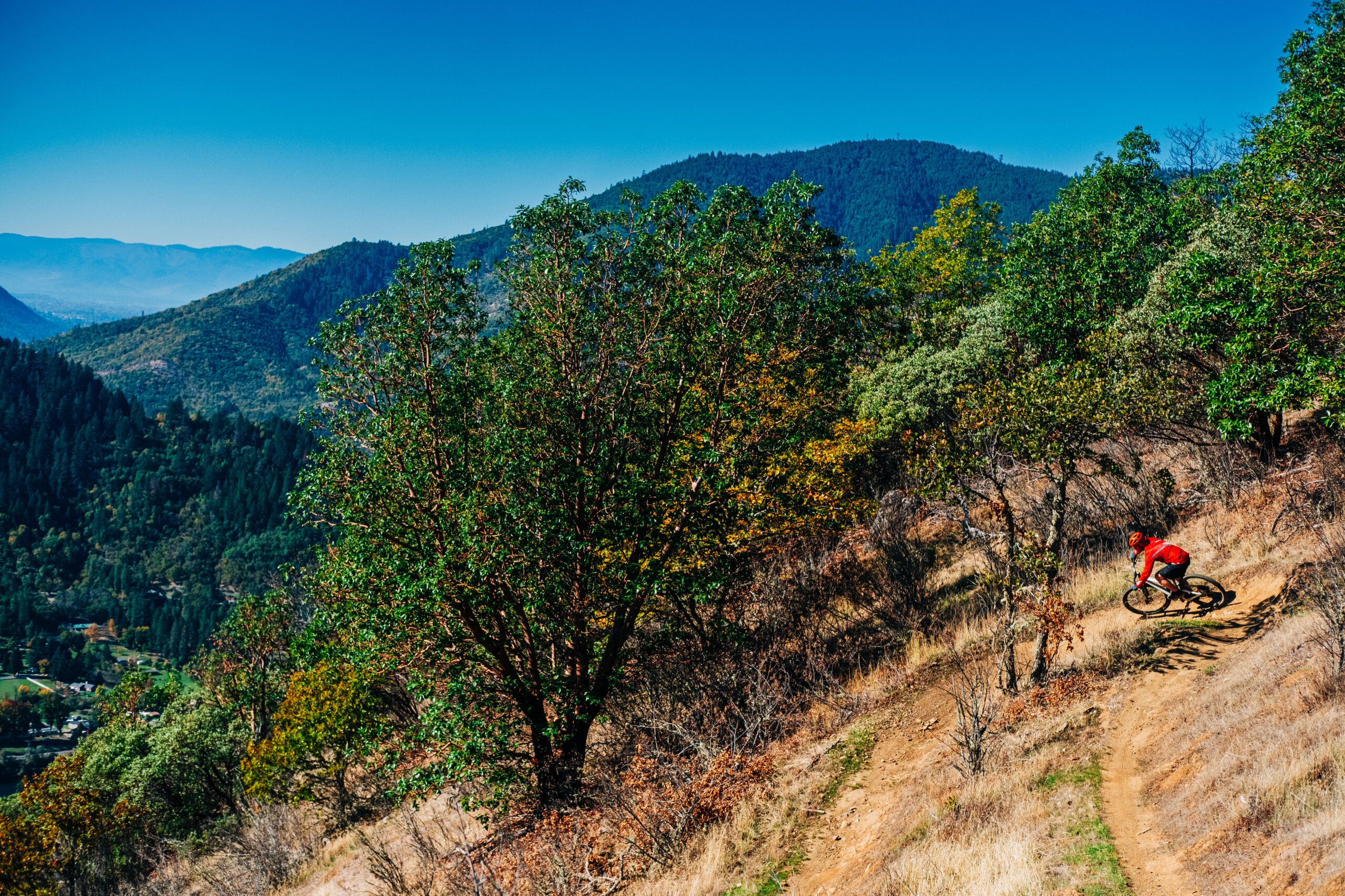 Mountain biker coming around a wide turn going down a bendy path.