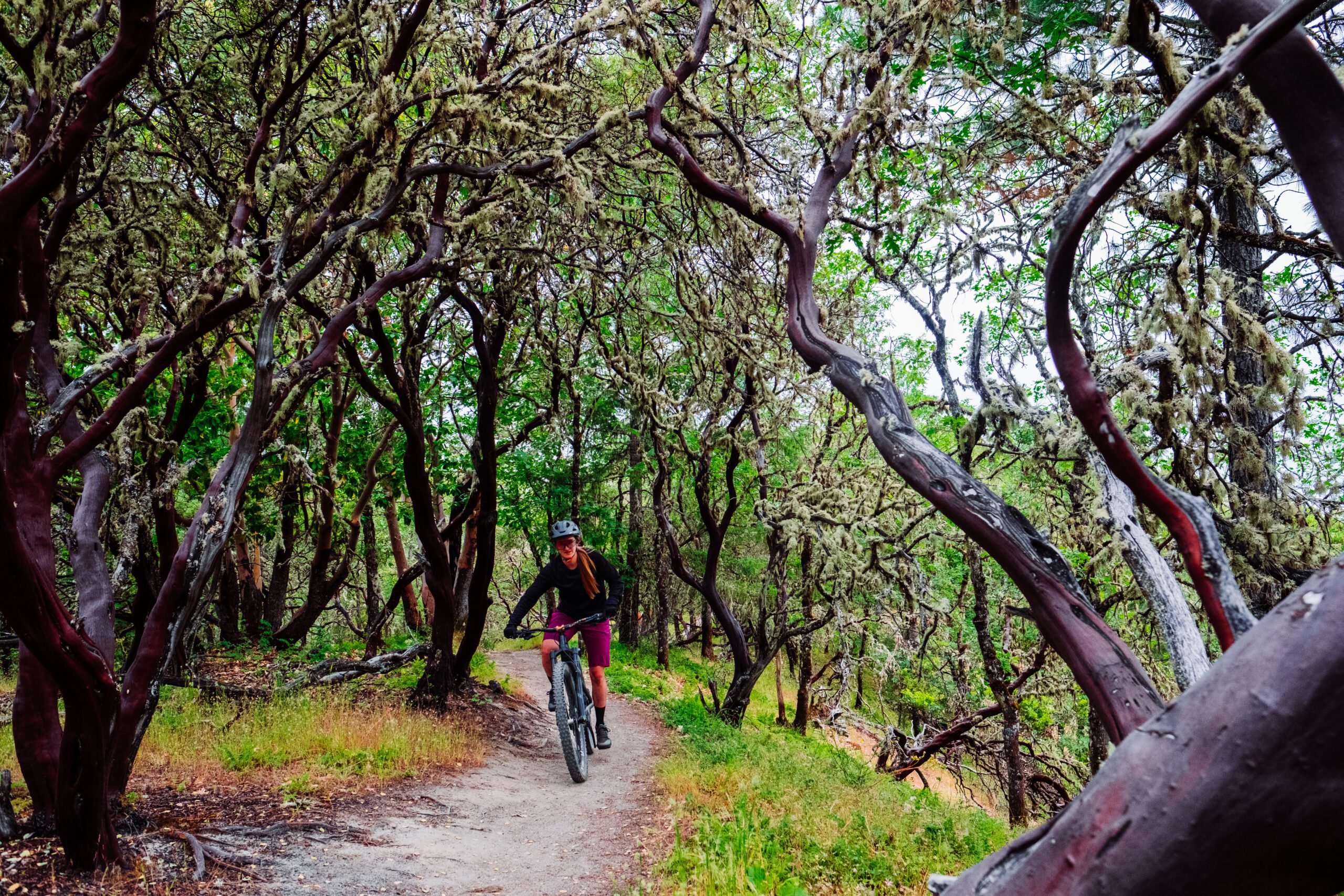 Mountain biker weaving between wavy trees.