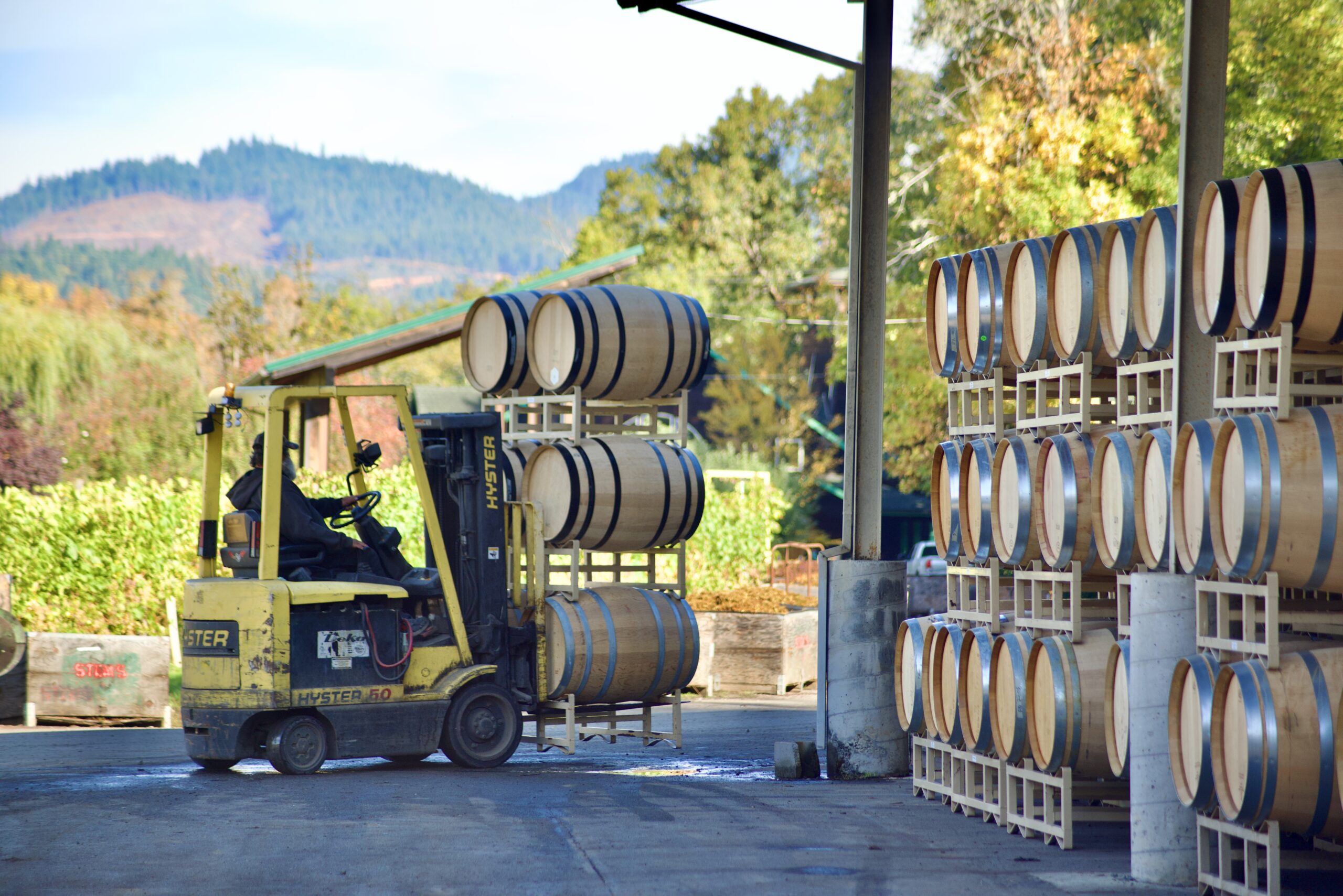 Forklift moving barrels of wine with a scenic vineyard view in the background.