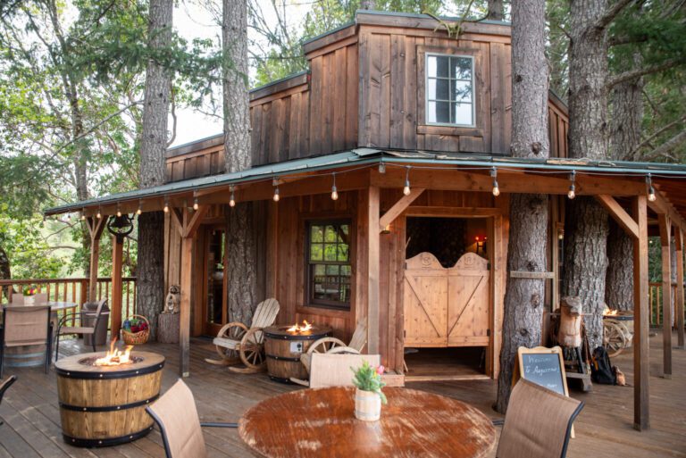 Vineyard tasting room, old west style cozy building with outdoor fire pits