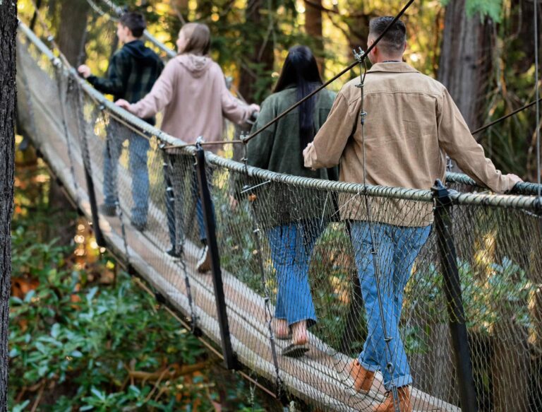 Group walking across rope bridge