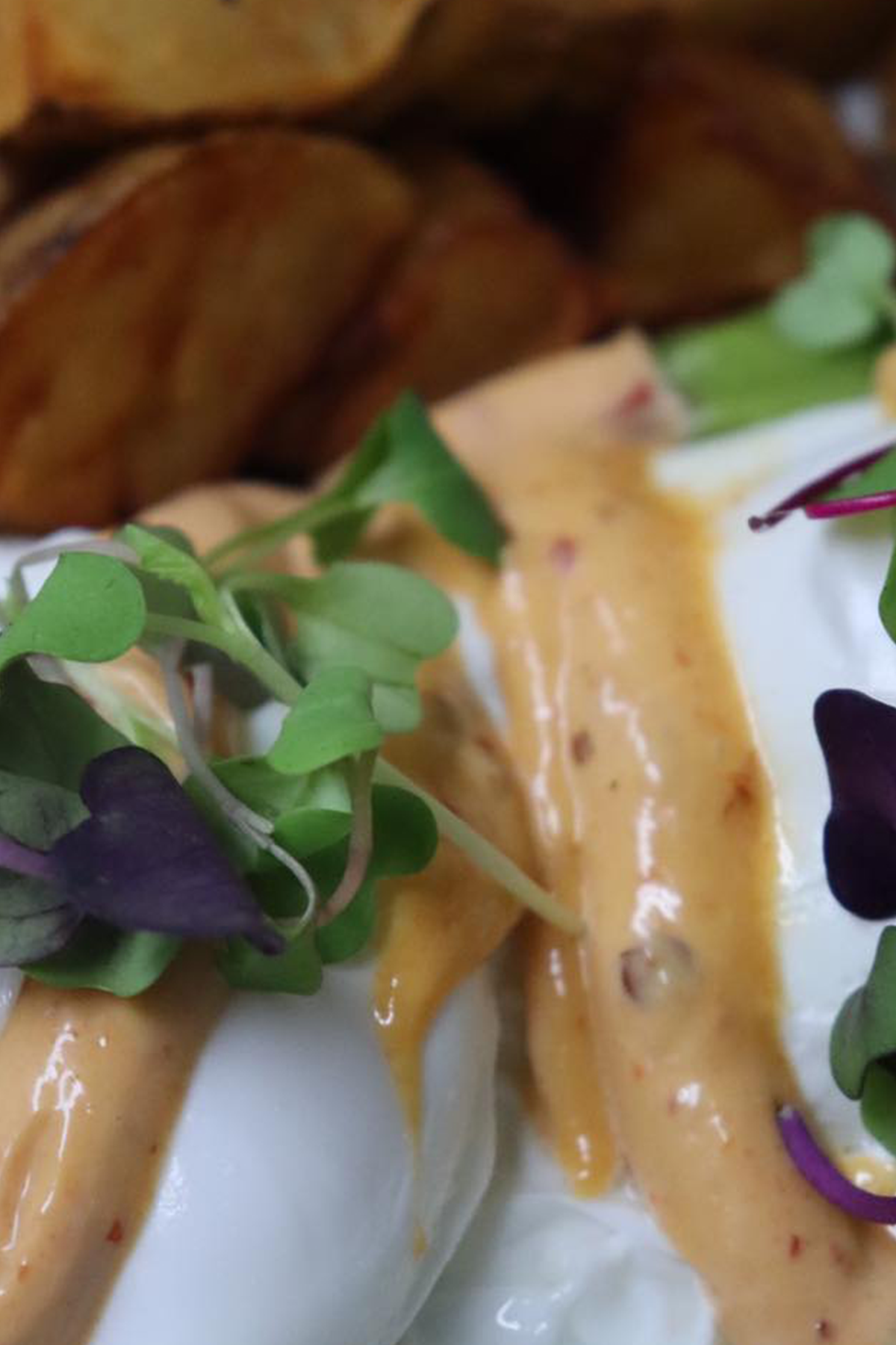 Taprock Benedict close up